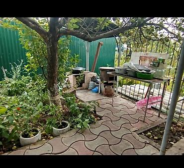 Продажа коттеджей и домов: Продаётся загородный участок с жилым домом и хозяйственными — 2