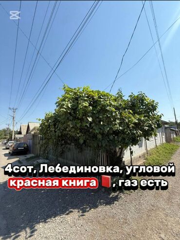 сколько стоит 1 сотка земли в бишкеке 2021: 4 соток, Бизнес үчүн, Кызыл китеп