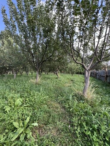 Продажа домов: Дом, 500 м², 6 комнат, Собственник, ПСО (под самоотделку) — 27