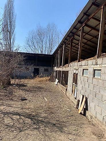 Земельные участки: 24 соток, Для бизнеса, Договор купли-продажи, Красная книга, Тех паспорт — 4