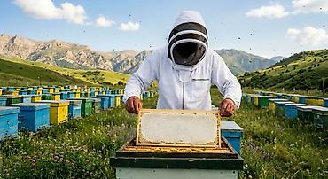 peredok 07 sekilleri: 🍯✅ Yüksək keyfiyyətli Kəlbəcər balının və arı məhsullarının tək — 9
