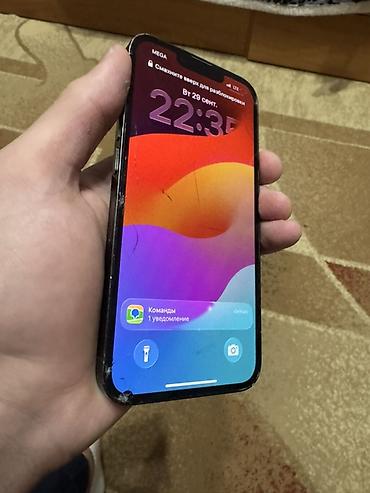 Apple iPhone: IPhone 13 Pro, Б/у, 256 ГБ, Alpine Green, 77 % — 7