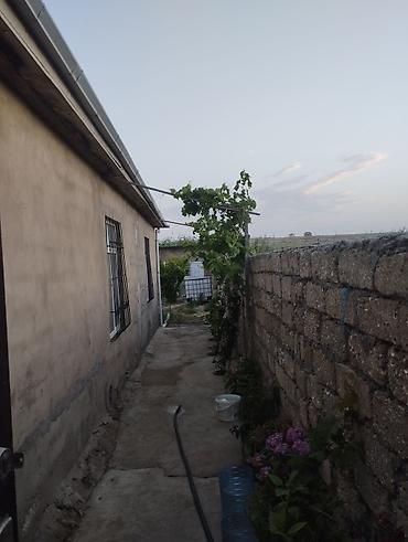 Həyət evləri və villaların satışı: 3 otaqlı, 50 kv. m — 13