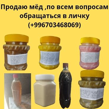 Дом и сад: Мёд