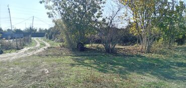 Torpaq sahələrinin satışı: 13 sot, Tikinti, Mülkiyyətçi, Kupça (Çıxarış) — 11