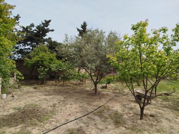 Bağ evlərinin satışı: Digah, 144 kv. m, 4 otaqlı, Hovuzsuz, Kombi, Qaz, İşıq — 5