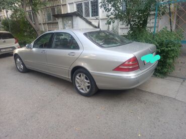 ромашки на мерс: Mercedes-Benz 500: 2002 г., 5 л, Автомат, Бензин, Седан