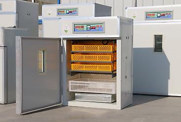 Товары и оборудование для с/х животных: Инкубатор Промышленный 352 жумуртка полынй автомат . Инкубатор 1056 — 1