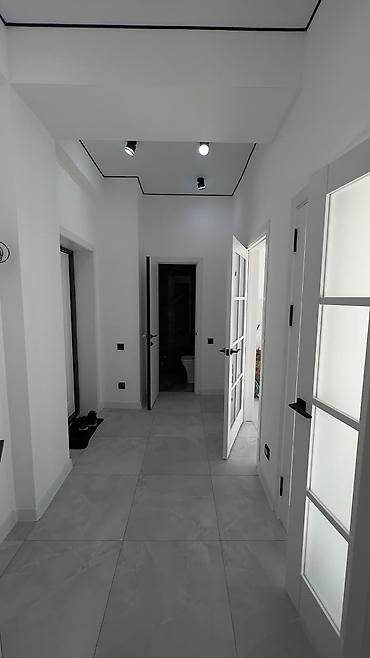 леостан: 1 комната, 47 м², Пишпек Элитка, 5 этаж, Евроремонт — 5