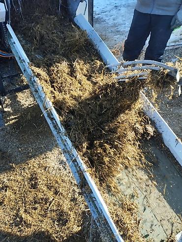 Корма для с/х животных: Силос — 9 сомдон рулон. Сенаж — 12 сомдон рулон. Беде биринчи кос таза — 11