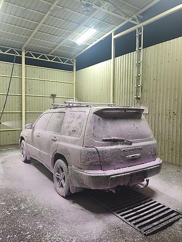 Subaru: Subaru Forester: 2000 г., 2 л, Автомат, Бензин, Универсал — 12