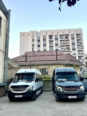 арава: Пункт назначения: Шымкент, Количество мест: 17, Лицензия №: LIC-2026-001462 — 7