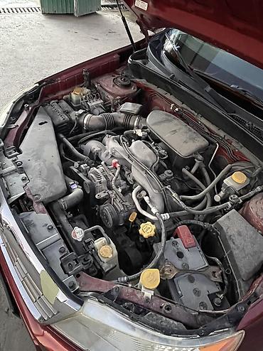 forester 2003: Subaru Forester: 2009 г., 2.5 л, Автомат, Бензин — 9