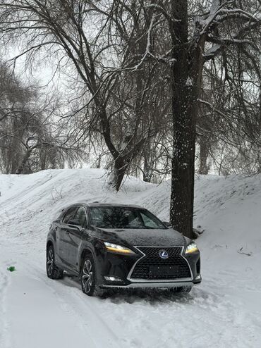 Lexus: Lexus RX: 2019 г., 3.5 л, Автомат, Гибрид, Кроссовер — 3