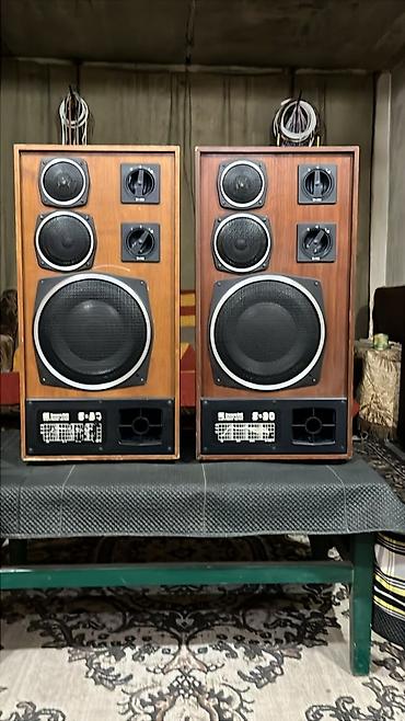 Акустическая система Radiotehnika S-90 (пара) - Трёхполосные