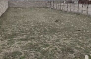 8 mkr: 3 sot, Biznes üçün, Mülkiyyətçi, Bələdiyyə