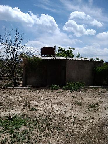 Продажа дач: Продаю дачу 12 соток с домом и хоз. постройками. Дача находится в — 6