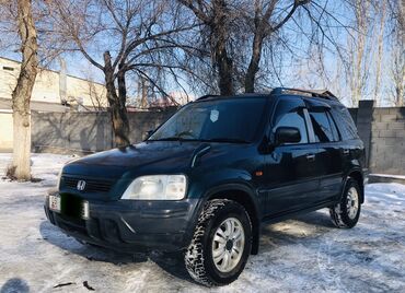 я ищу срв: Honda CR-V: 1996 г., 2 л, Автомат, Бензин, Внедорожник