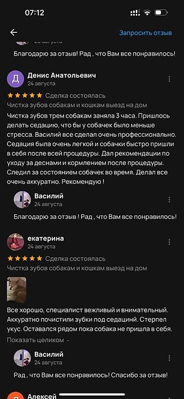 Услуги ветеринара: Ультразвуковая чистка зубов для собак и кошек на выезд! Здравствуйте! — 6