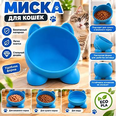 мясо для кошек: Миска для кошек - Подходит для сухого и влажного корма, а также для — 1