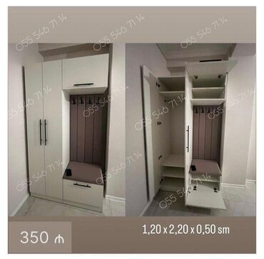 Ev üçün digər mebel: Yeni, Düz dolab, Dəhliz dolabı