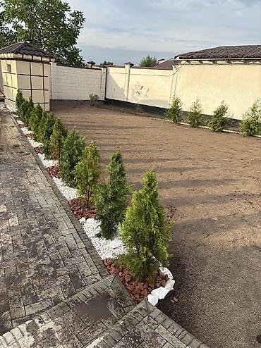 ул репина: 6 комнат и более, 250 м², 21 соток, Арашан — 2