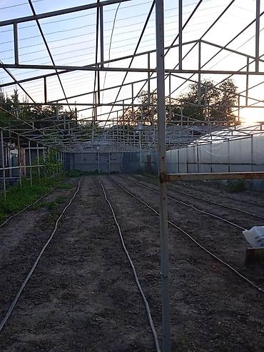 Үй жана бакча: ( теплица ). Продаю готовую теплицу. Продаётся только каркас теплицы — 4