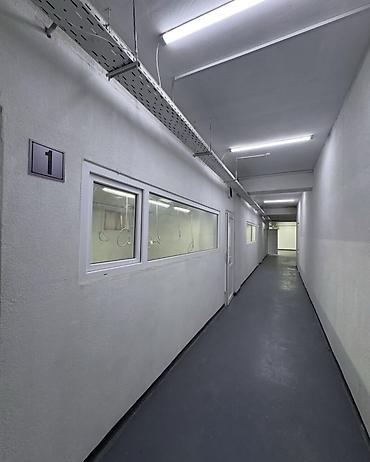 яркие: Коммерческое помещение, р-н Кызыл Аскер - Площадь: 430 м² - Этаж — 3