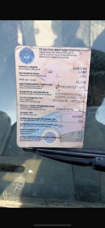 terrano 2: Daewoo : 1995 г., Пикап — 6