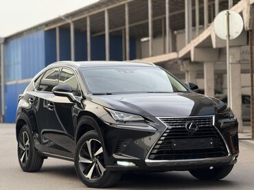Lexus: Lexus NX: 2019 г., 2.5 л, Вариатор, Гибрид, Кроссовер — 1