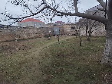 Продажа участков: 2800 соток, Для строительства, Собственник, Бялядия (муниципалитет) — 4