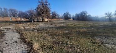 Продажа участков: 23000 соток, Для строительства, Красная книга — 4