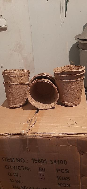 Садовые цветы и кустарники: Саженцы цветка: Пионы, Самовывоз — 11