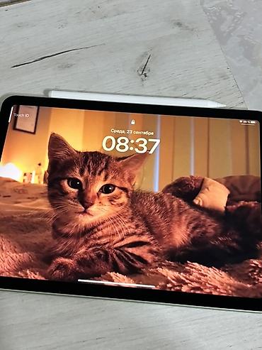 плёнка для колбасы: IPad Air (4‑го поколения) + Apple Pencil - Модель: iPad Air 4 (номер — 3