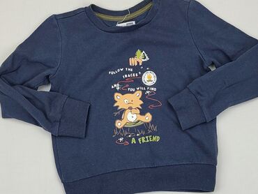 sweterek z falbankami: Bluza, Pocopiano, 5-6 lat, 110-116 cm, stan - Zadowalający