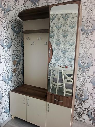 ayaqqabı dolabı ucuz: İşlənmiş, 2 qapılı, Güzgülü, Açılan, Düz dolab — 1