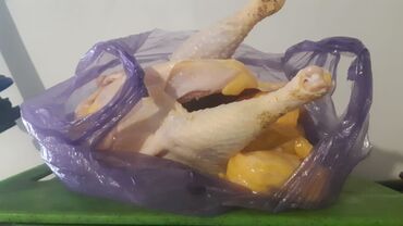 Куры, петухи: Продаю | Куры, Петух | Домашняя | На забой, Для разведения, Несушки — 17