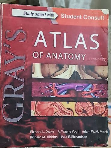 clair obscur: Gray’s Atlas of Anatomy, Second Edition (Student Consult) - Авторы — 1