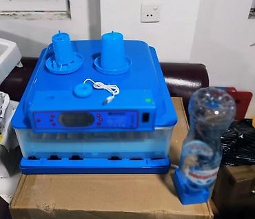 Kənd təssərüfatı avadanlığı: Inkubator inqibator inkibator inqubator incubator Ən Yeni Expert model — 7