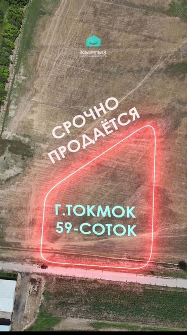 Продажа участков: 59 соток, Для сельского хозяйства