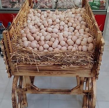 Restoran mebeli: Şiafın ölçüsü eni 70 sm, hündürlük 100 sm, iç derinliyi 40 sm. Qiymeti — 14
