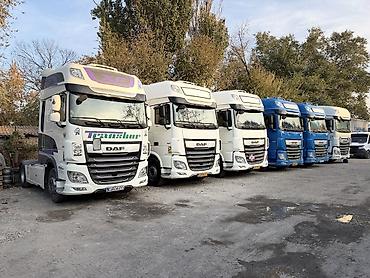 xf: Тягач, DAF, 2020 г., Без прицепа — 6