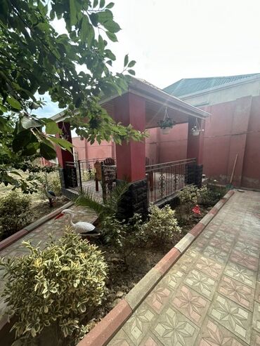 Uzunmüddətli kirayə mənzillər: Oz evimdi.6sotu ve Heyetde her nov agac var.Su isiq qaz daimidi.Sened -da lalafo.az — 12 Uzunmüddətli kirayə mənzillər: Oz evimdi.6sotu ve Heyetde her nov agac var.Su isiq qaz daimidi.Sened — 12