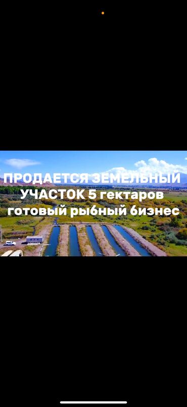 участок для сельского хозяйство: Бизнес үчүн