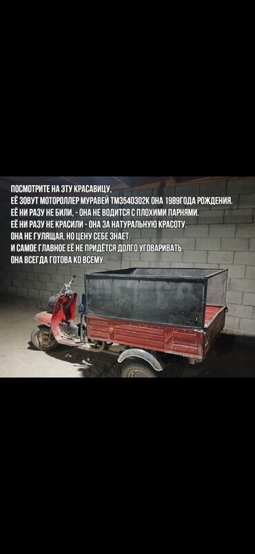 тормозные колодки фото: СРОЧНО! Мотороллер Муравей. В отличном состоянии на полном ходу с