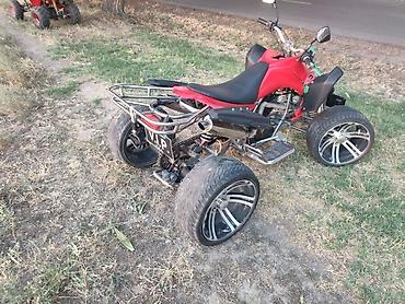 Квадроциклы: Квадроцикл Бензин, 250 куб. см, Взрослый at lalafo.kg — 3 Квадроциклы: Квадроцикл Бензин, 250 куб. см, Взрослый — 3