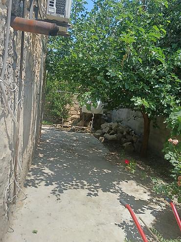 Daşınmaz əmlak: 4 otaqlı, 3 kv. m, Kredit yoxdur, Orta təmir — 1
