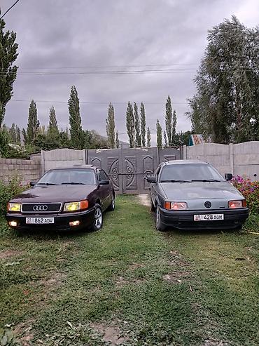 Audi: Audi 100: 1991 г., 2.3 л, Кол менен иштөөчү, Бензин, Седан — 2