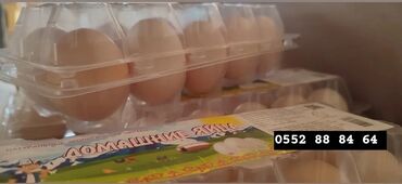молочное производство: Куриные яйца от производителя! В фасовке по 10шт, цена за одну