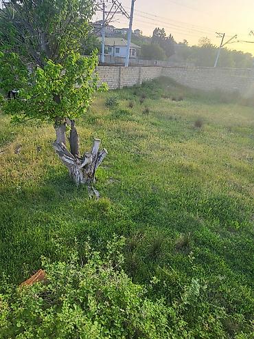 Torpaq sahələrinin satışı: Tikinti — 9